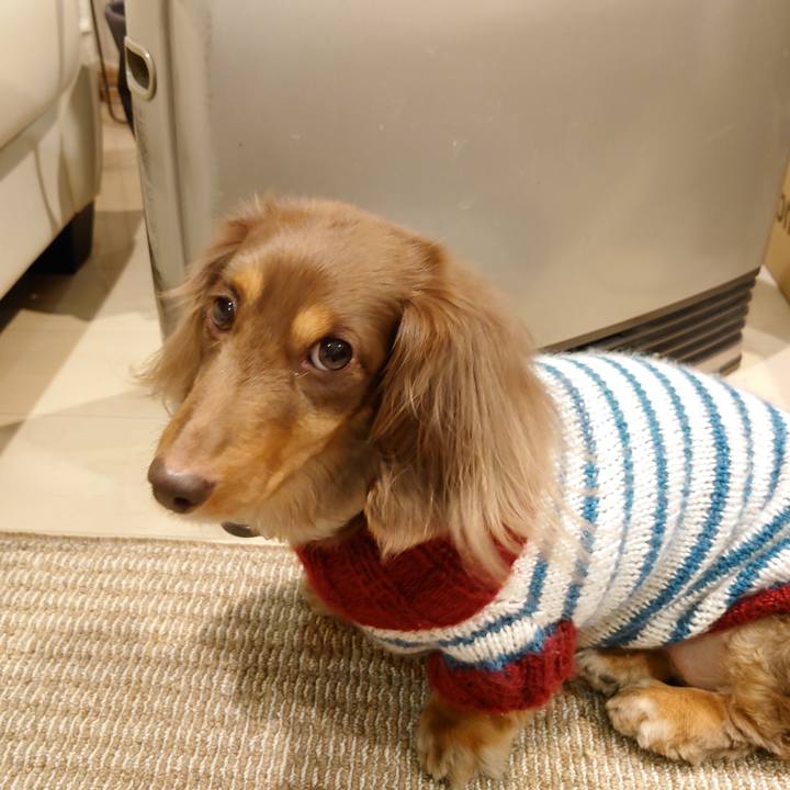 Fc42f1ca 2ebb 44b3 85cf ba4b9e3fdb2f 1675255772142