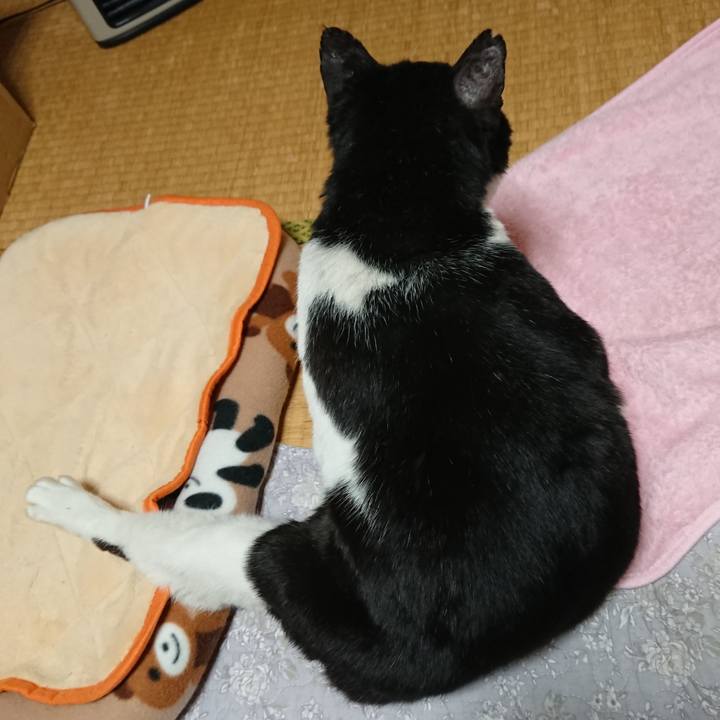 Fc43038d de1c 4f4d a1a2 a8b779309ebe 1582548831390