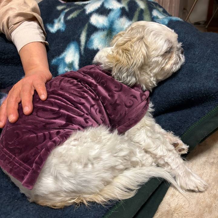 Fc4313f1 875f 41a4 9b1d 462dedfcb780 1764885153419