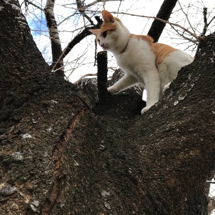 Fc4318f4 5929 4c11 952e ad165f2a53cb 1512118470478