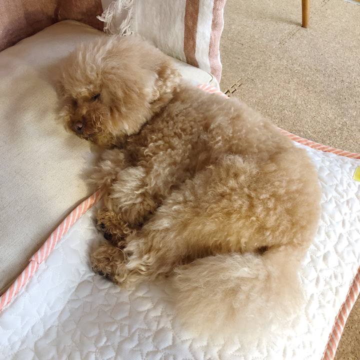 Fc4328b0 6661 40ff a660 dbc80cf21a38 1528091970858