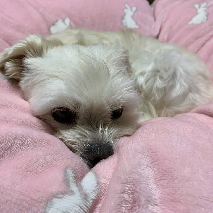 Fc4331a6 2738 4783 8d2d a3c1d8d76ff2 1611752655764