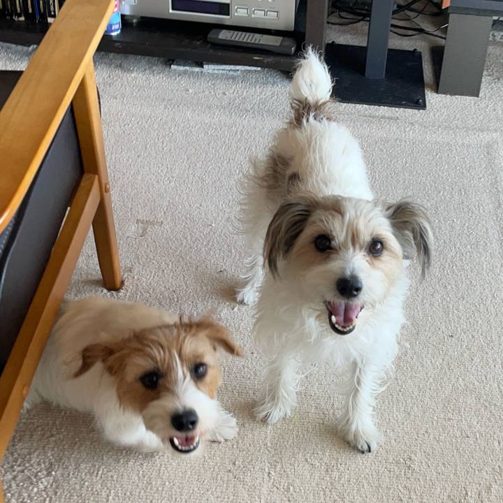 Fc433550 0994 4ecd 9a18 1f90d562345a 1768722080302