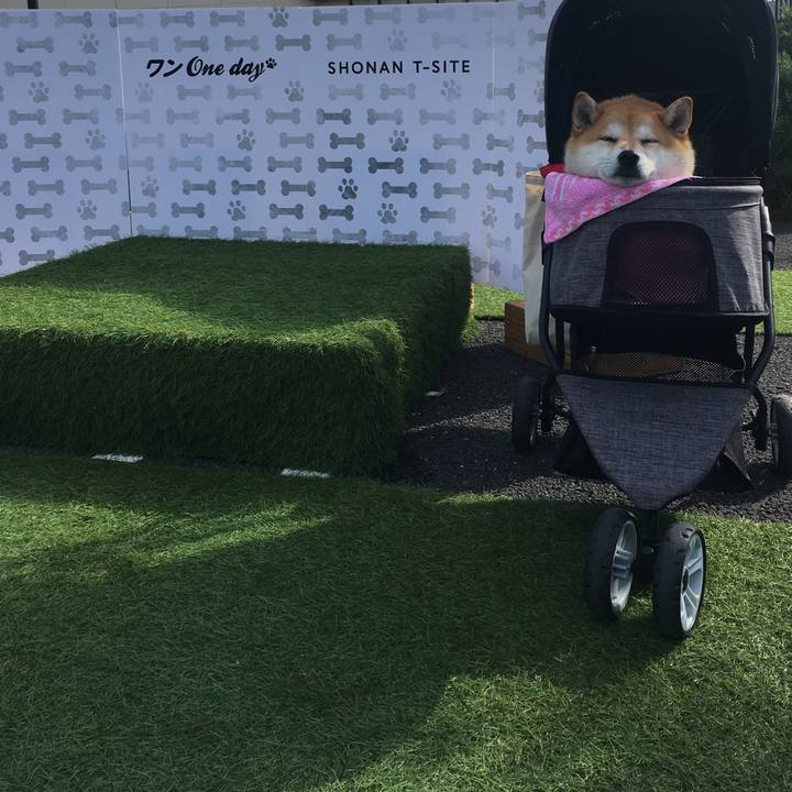 Fc433e3e bf4a 49ae b48c 16261b982c89 1575196860155