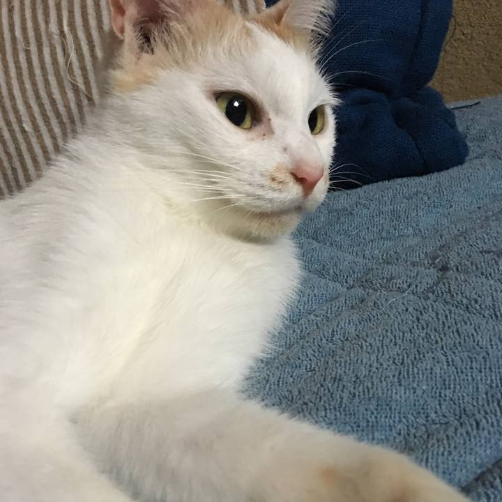 Fc435409 2d53 4571 b3e0 2c13594226ea 1539428702636