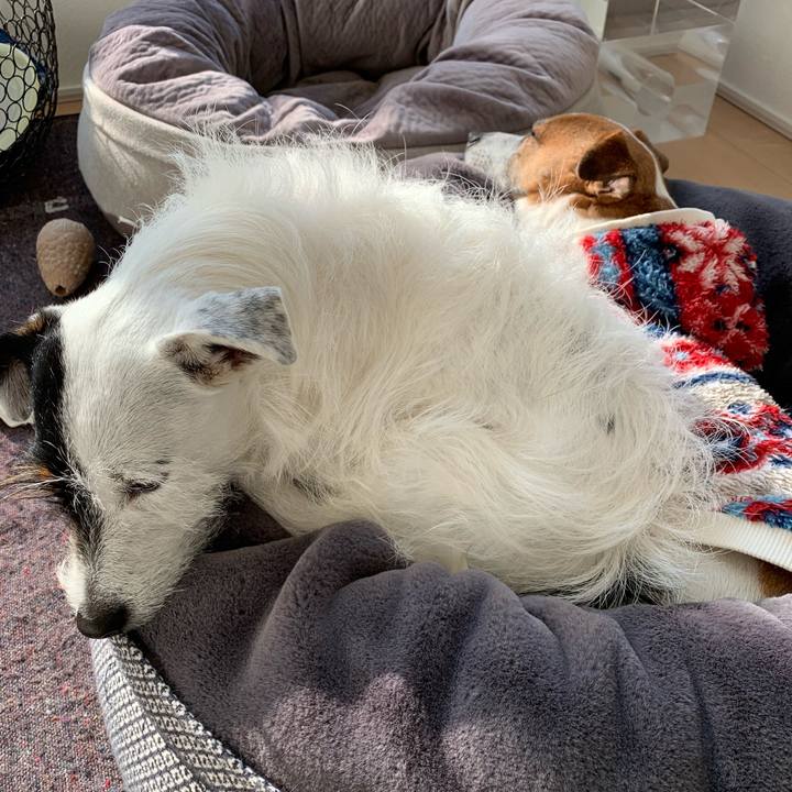 Fc43797a 0efa 425e aed1 05050455a809 1611292861855