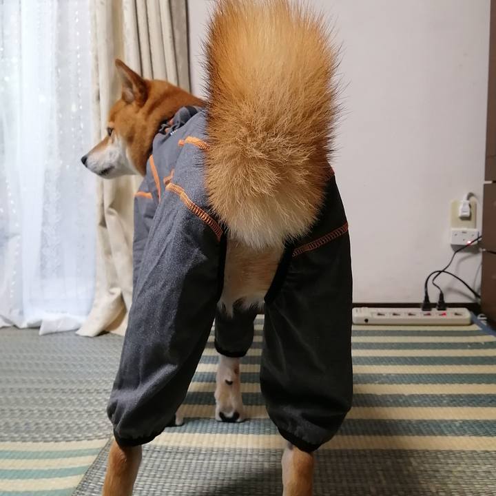 Fc43e218 324d 4fe3 91c7 9eb8b6d62f39 1591692153832