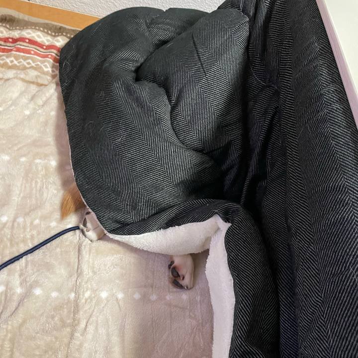 Fc445982 8a05 4c1e b268 4f7acb92989c 1640520775080