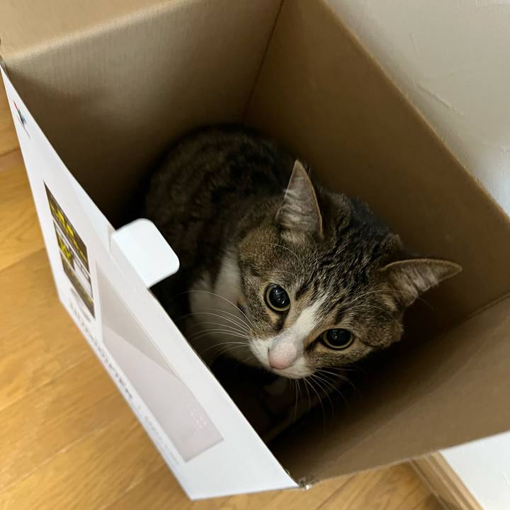 Fc448d56 4e02 4a64 9e7a 5da919a92d28 1747621239384