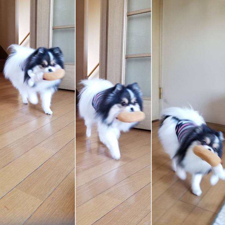 Fc44aead 8d02 463d 8876 20dee2610f7d 1553392131152