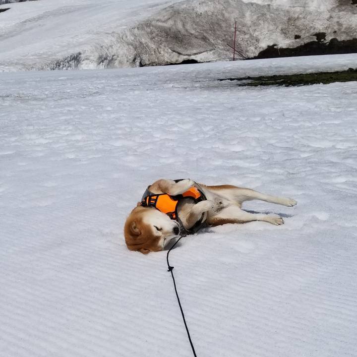 Fc44c082 f689 4019 b311 adb4fa652878 1615429589714