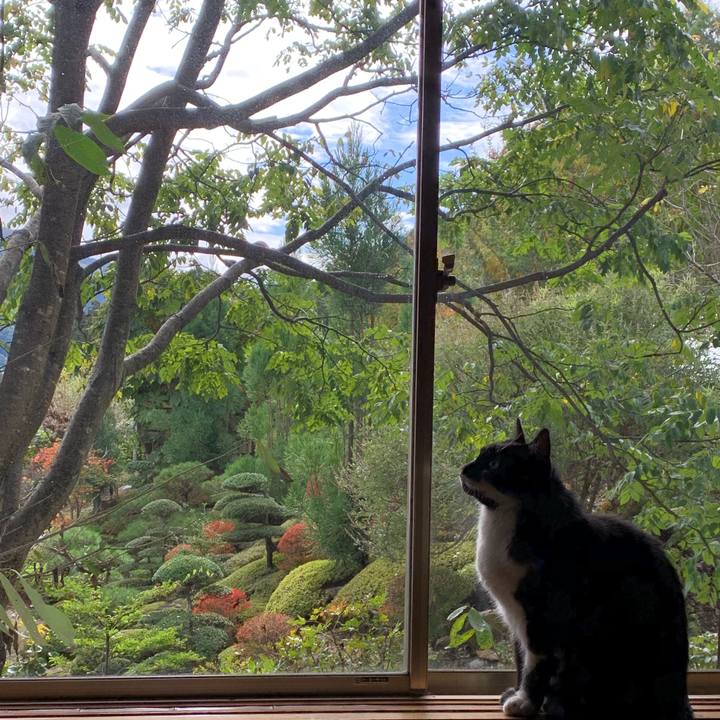 Fc45268a 7283 47cc adc6 316642a3d9b6 1571724927133