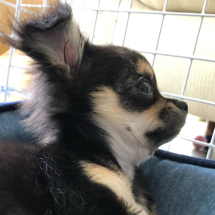 Fc454124 15ba 4b09 abf4 54581170b279 1537691166355