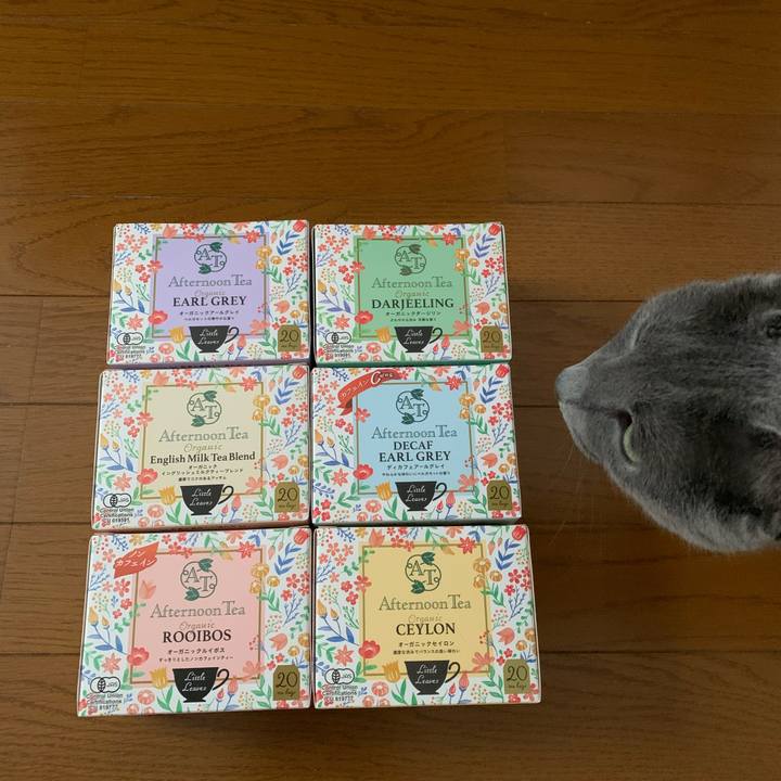 Fc4554aa a16d 4ea0 9e79 8dd17c7be297 1677453298081