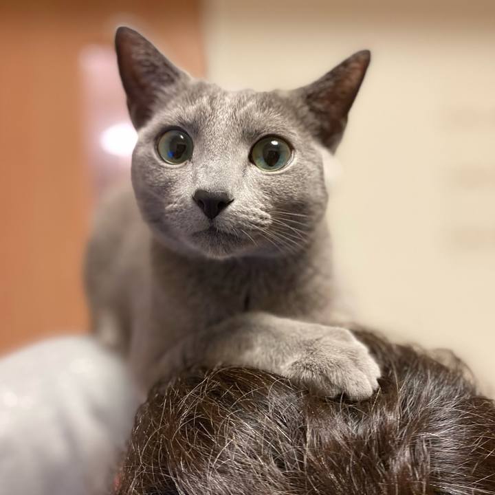 Fc4592a3 bb21 4628 a80e bf71c0c75412 1649202080706