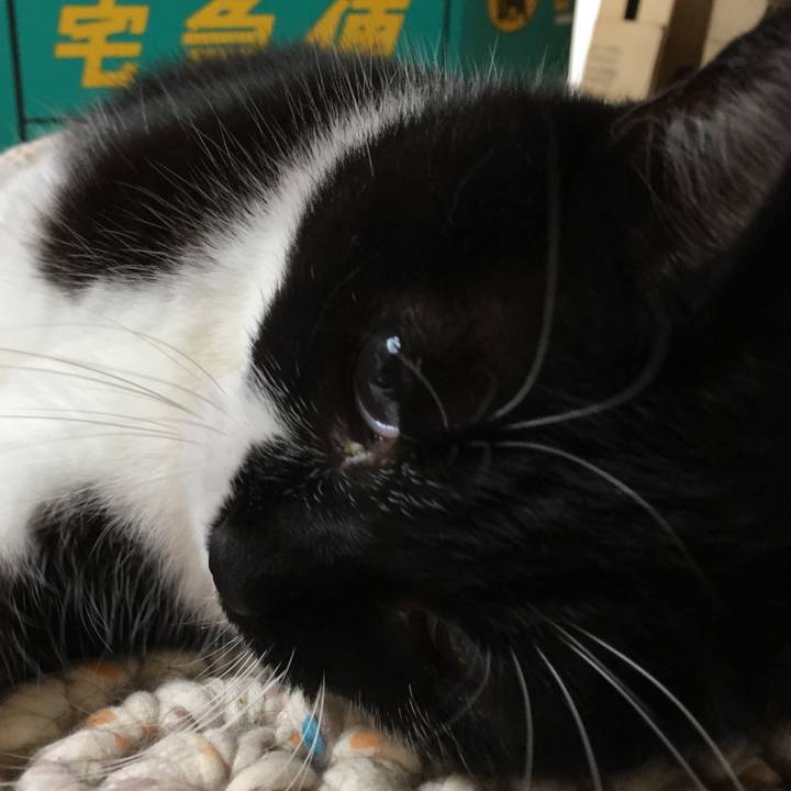 Fc459fa1 52c7 44d0 9979 06229bbd9ccb 1528540670635