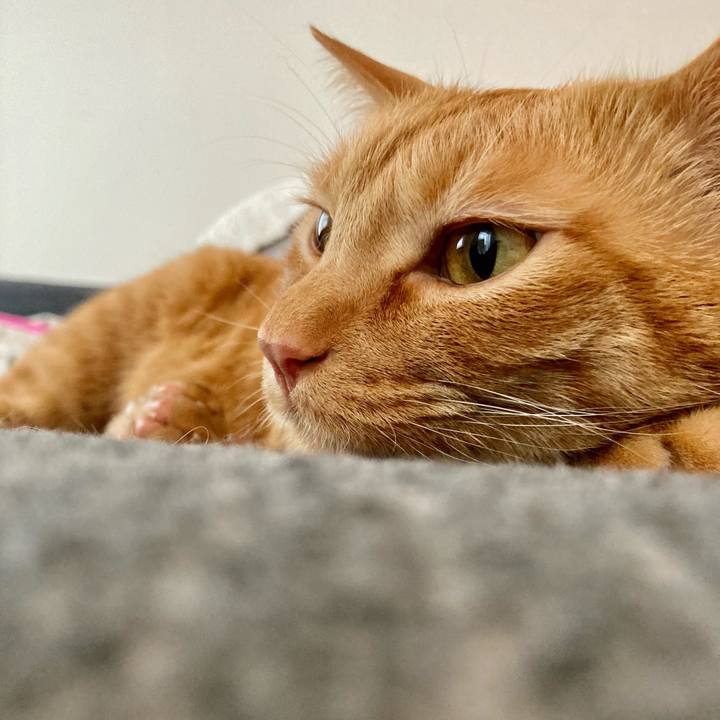 Fc45c1e2 7003 4570 91ba 8a702621f727 1616892019981