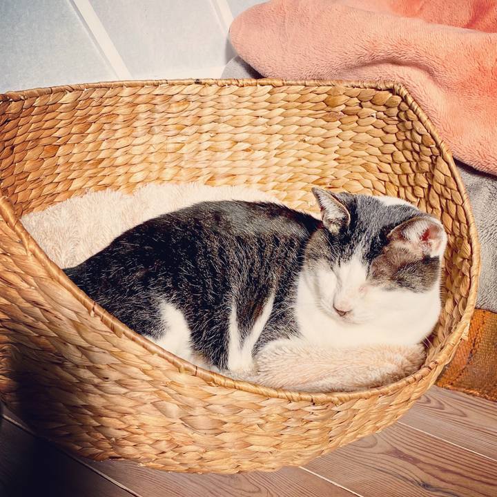 Fc45f08d b837 46c0 a538 dc038b6b003f 1577858200143