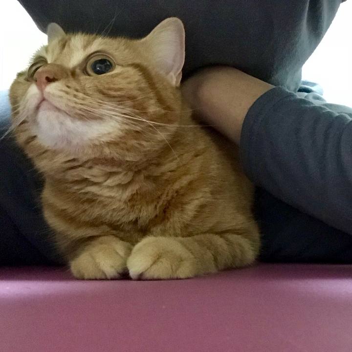 Fc462195 2fc1 4107 8609 3f4e02603c3e 1524805454222