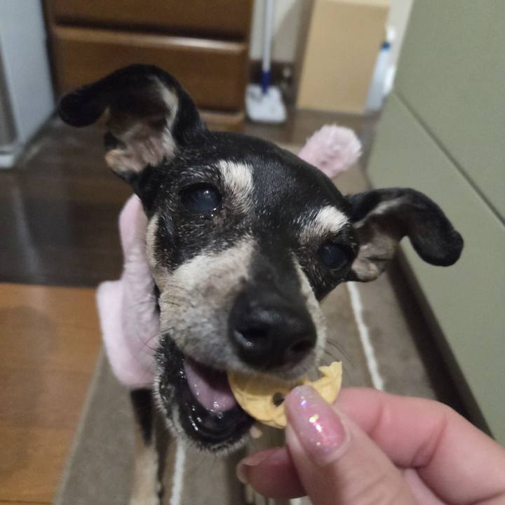 Fc46a39a d794 4e5e 899b 252f07729160 1774209223881