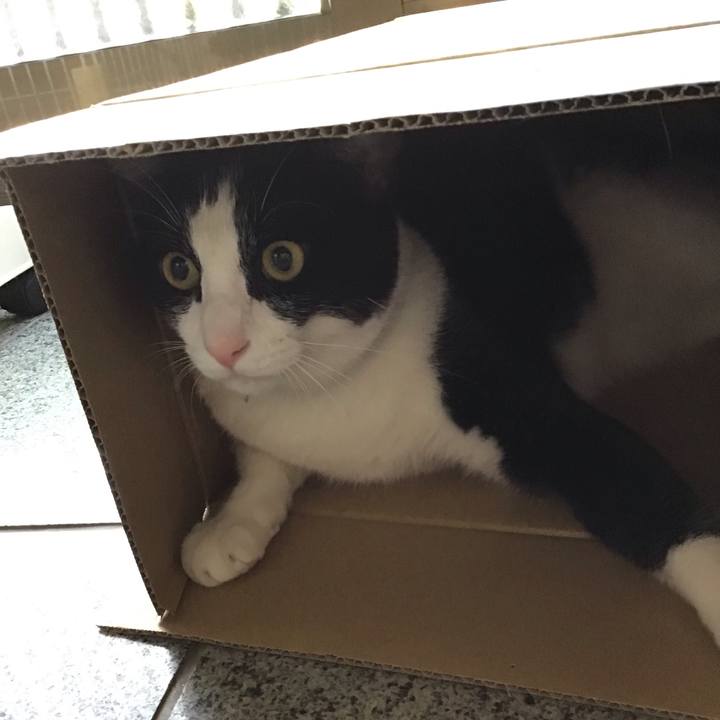 Fc46d5b8 1470 438f 8ad8 29c41350c5a9 1658737374736