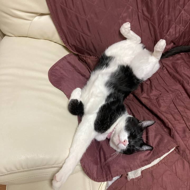 Fc46f211 fc62 4679 b88b d676783f4933 1622517057039