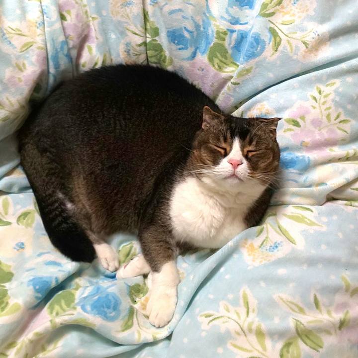 Fc46f31c 0f25 4421 b90b 05081c6fa493 1678798015742