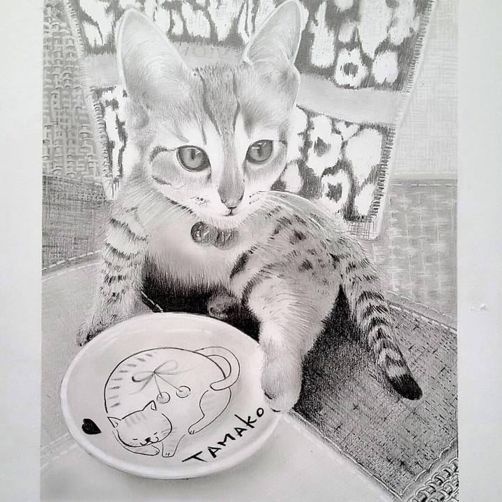 Fc4755cd 8e8a 4794 bf5a 3455127e574c 1622771969086