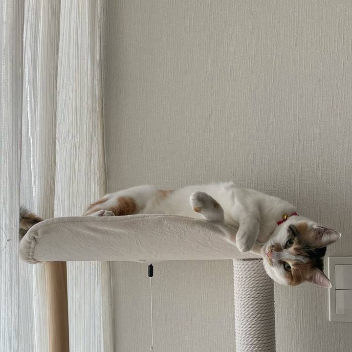 Fc479b1e 341b 46ef b63c ec44144699f3 1616110649403