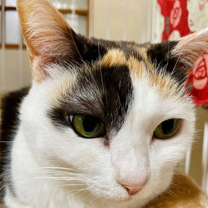 Fc47a539 6878 4b51 b513 6a61e2132615 1622254447634