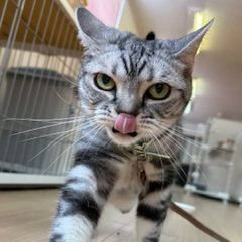 Fc47aa41 1a31 418e 939e 0f72be13f402 1690240241755