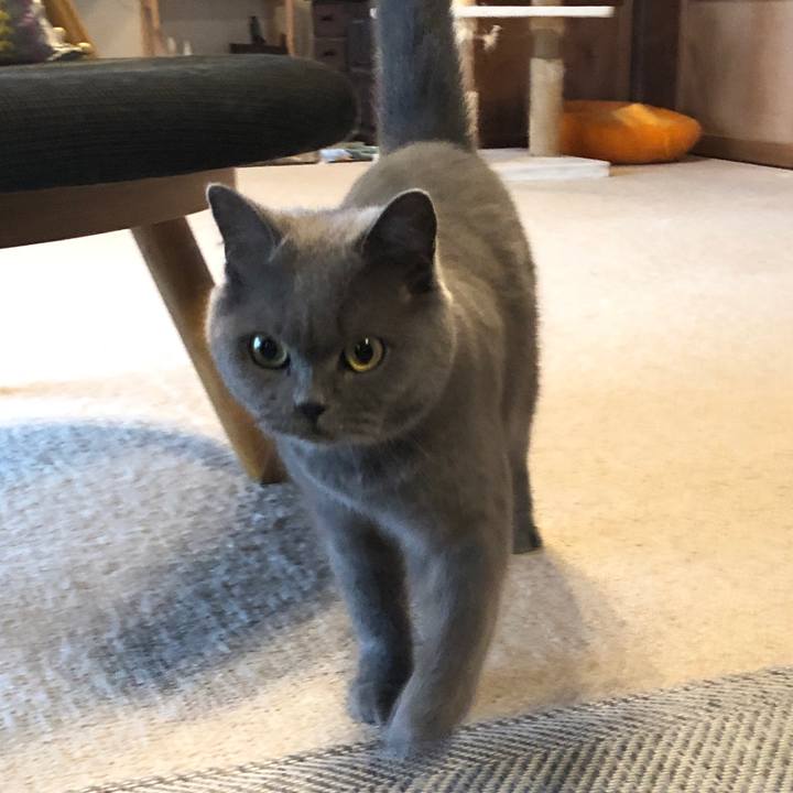 Fc47cdf6 97c5 4be6 86eb 72ed5a1af750 1572136286821