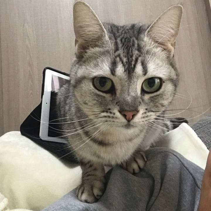 Fc47f25e ccc6 4501 b54b 13bc65dc9b78 1552040966870