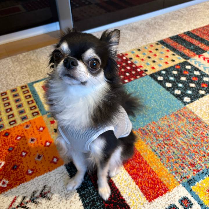 Fc480080 b66a 48a1 9f89 0bc4e4408c05 1722095175377