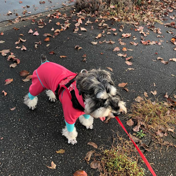 Fc48143b 4cad 4f63 b133 a331ad864924 1572075862430