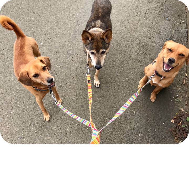 Fc4830cf f48b 4bf5 a6f0 bc906a8f81d5 1536802006828