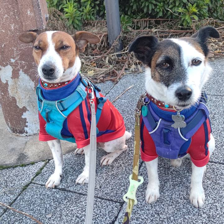 Fc486a58 0a74 482a ad2b db9c3e72ac6c 1636583099006