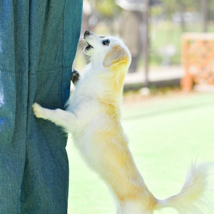 Fc488b09 583b 4b46 b1fb 4f7fdd0e48d0 1728884873214