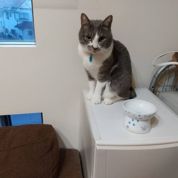 Fc48b8b1 0e4d 4873 b2cc faf6e27a60f7 1645048395371