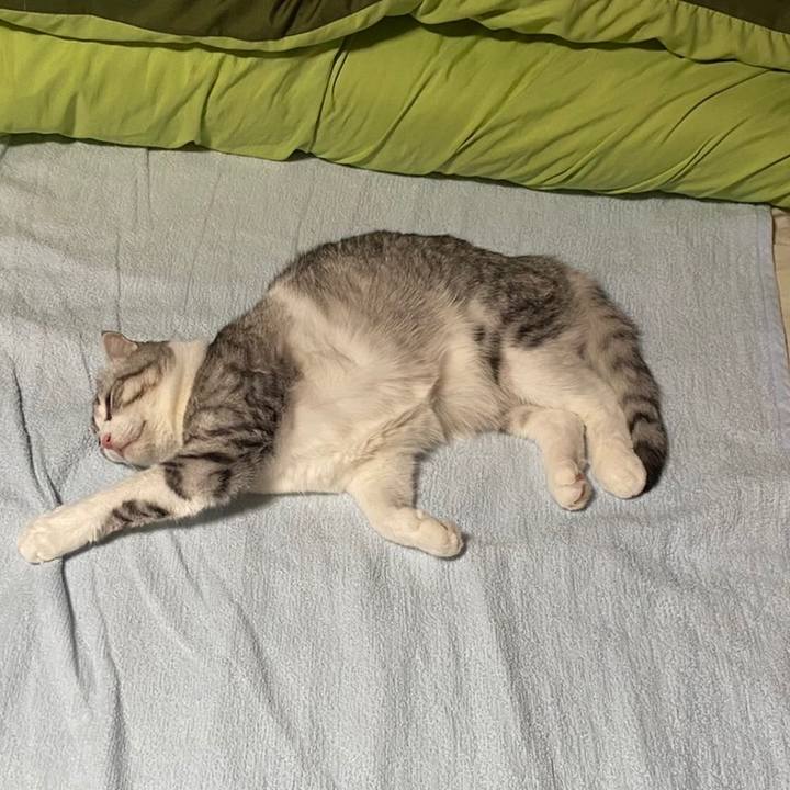 Fc491fd2 e216 4cf6 9d01 1f670603d4ef 1632610804308