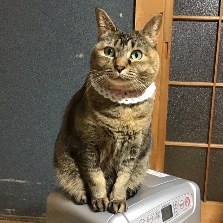 Fc4921bf 4236 4338 a2cc 48b8c0dceeef 1740390512753