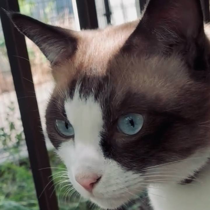 Fc492fd4 fddd 41dc 8e25 c54ce4eaf0fa 1759115907690