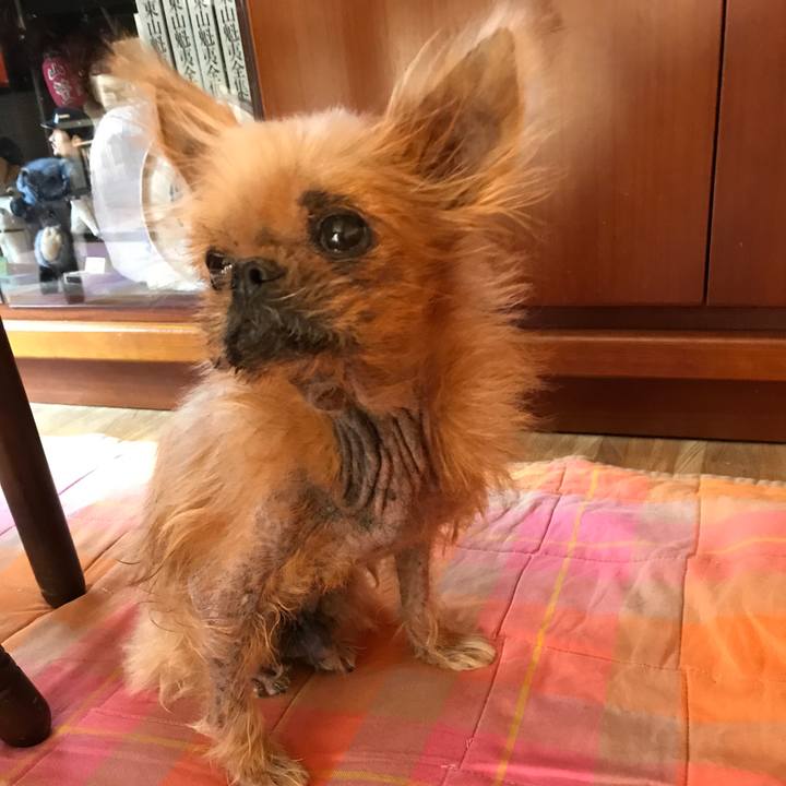 Fc49387e e95e 4202 a7ea 3b59fbb4af8b 1546306498284