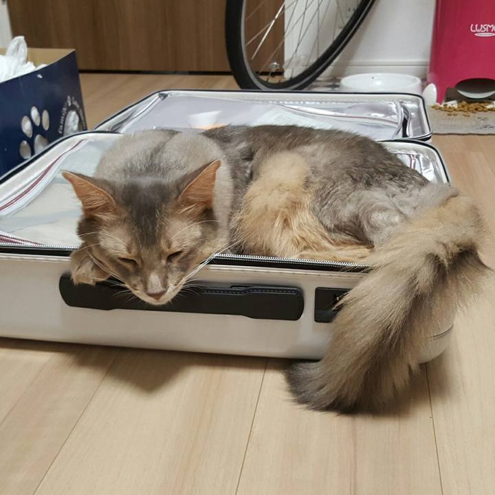 Fc495572 0c81 4c53 8d10 0f62aafc2057 1538998061238