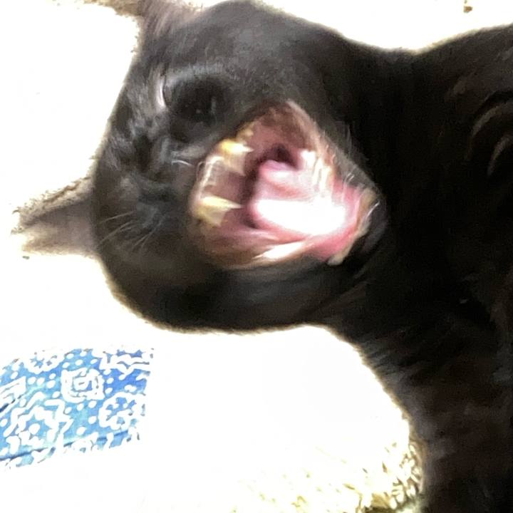 Fc49db11 47a8 4c36 82dc bdbe3f503b71 1689675367336