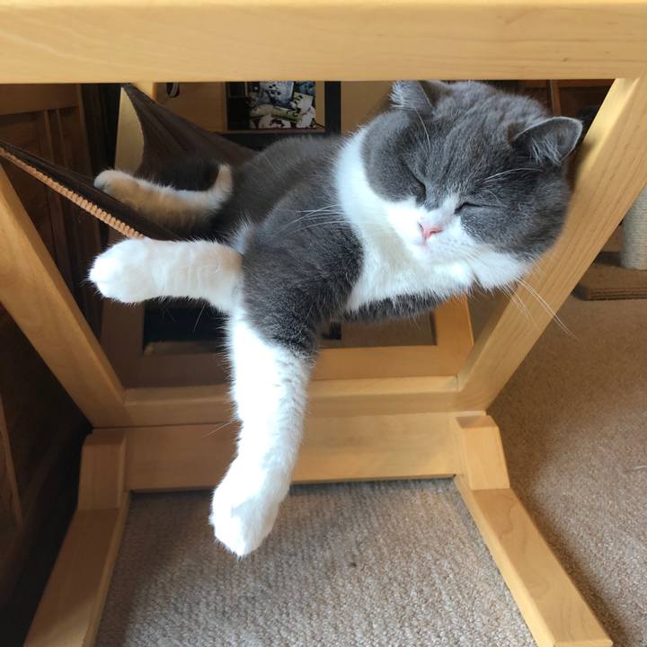 Fc49dce6 5b91 4525 922a 35d524dcaeea 1593075137602