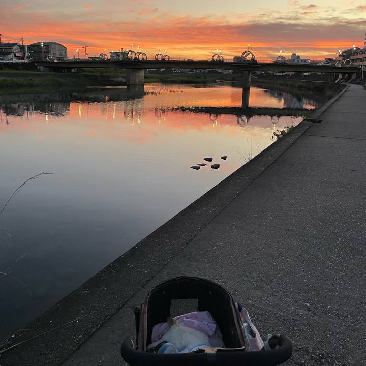 Fc4a75d0 291d 4650 ab54 3a47b3ce152f 1660828118535