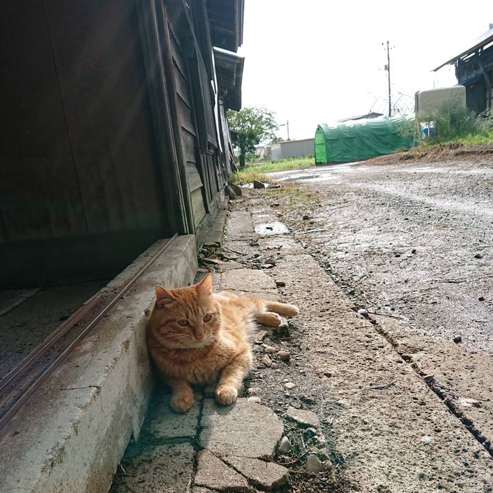 Fc4a9607 16c0 44ec 915b fc056fb376bf 1658529873805