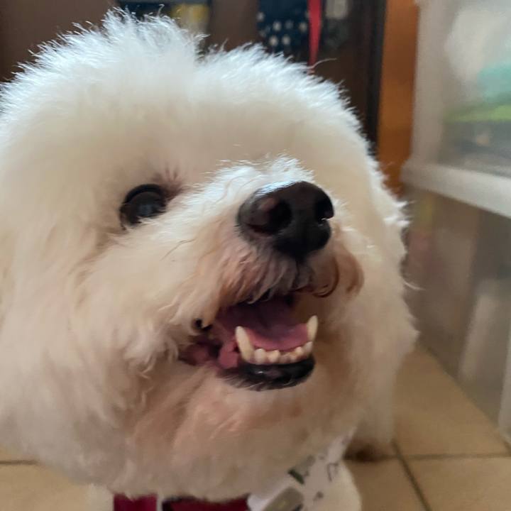 Fc4a9c70 215c 4a59 94da f6f7ed0c7e40 1685232775789