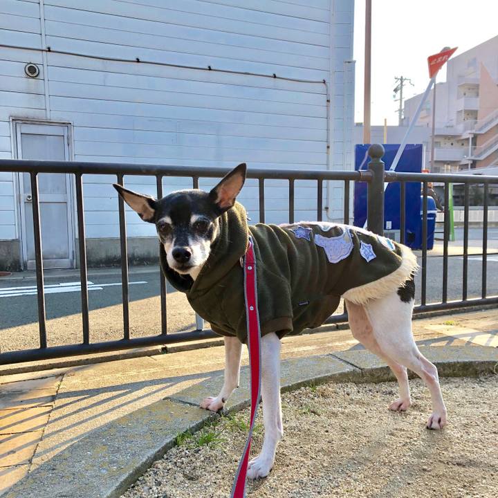 Fc4aa8be ff48 4f8c a339 f34ff8e8c371 1547860276218